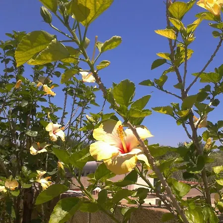 Holiday home Degli Ibiscus