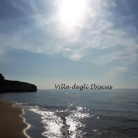 Degli Ibiscus * Lido di Noto